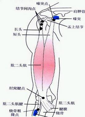 软组织损伤